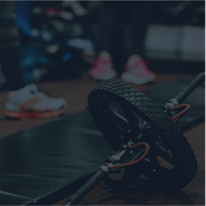 Cross Fitness Wheel Ab Roller 2026 01 06 08 58 47 Utc